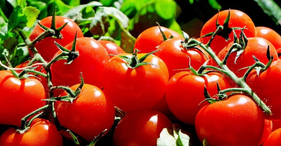 The health benefits of tomatoes